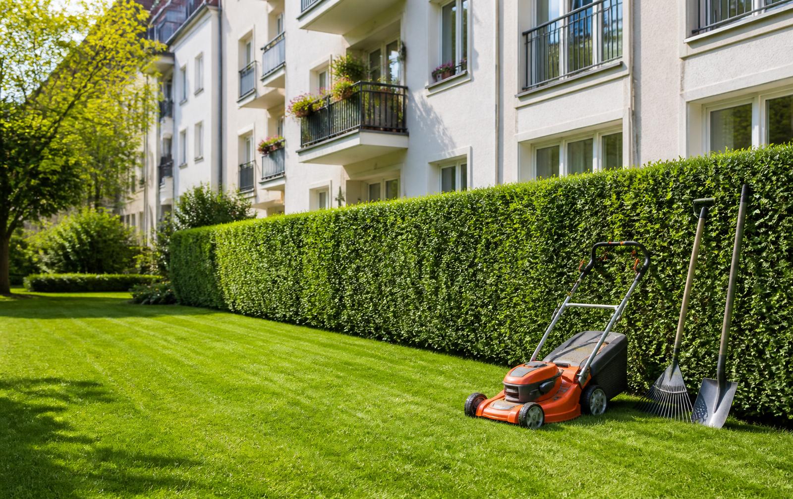 Frisch gemähter Rasen und geschnittene Hecke im Innenhof eines Mehrfamilienhauses